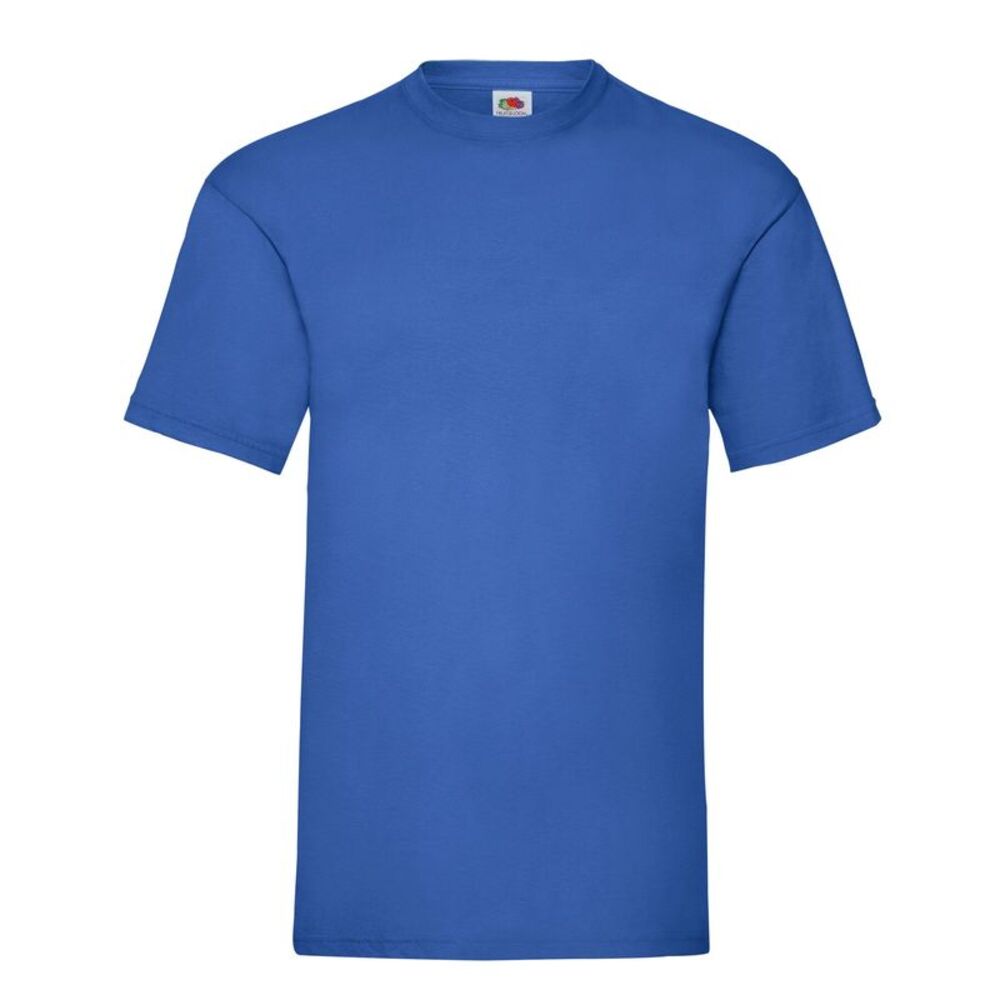 Fruit of the Loom Mens Valueweight T-Shirt / Royal Blue